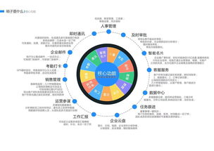 各类办公软件 福建专业的哨子办公公司